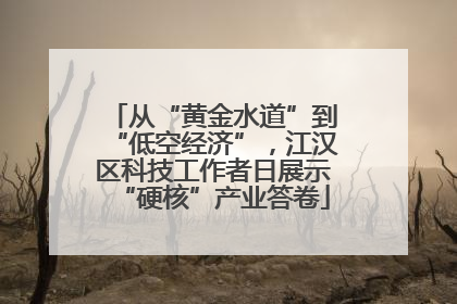 从“黄金水道”到“低空经济”，江汉区科技工作者日展示“硬核”产业答卷