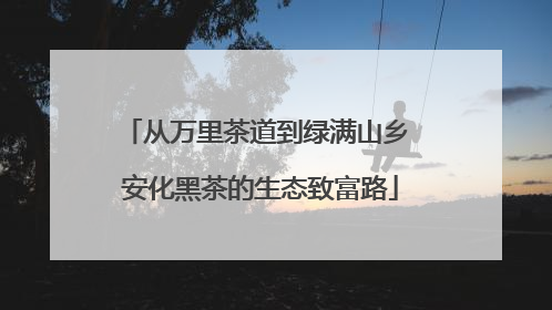 从万里茶道到绿满山乡 安化黑茶的生态致富路