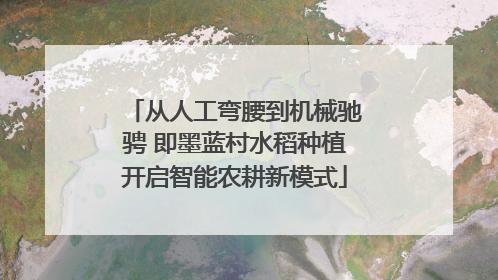 从人工弯腰到机械驰骋 即墨蓝村水稻种植开启智能农耕新模式