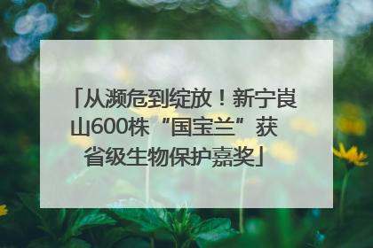 从濒危到绽放！新宁崀山600株“国宝兰”获省级生物保护嘉奖