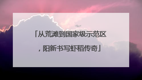从荒滩到国家级示范区，阳新书写虾稻传奇
