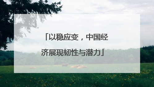 以稳应变，中国经济展现韧性与潜力