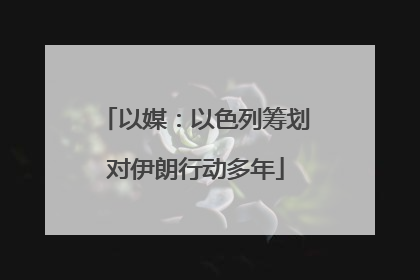 以媒：以色列筹划对伊朗行动多年