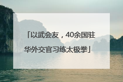 以武会友，40余国驻华外交官习练太极拳