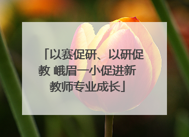 以赛促研、以研促教 峨眉一小促进新教师专业成长