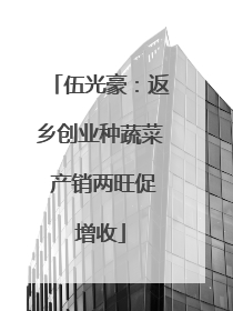 伍光豪：返乡创业种蔬菜 产销两旺促增收