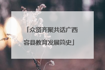 众贤齐聚共话广西容县教育发展简史