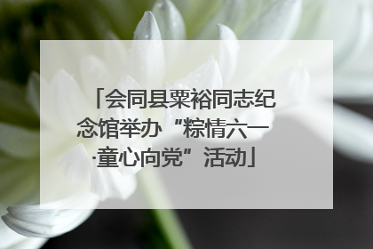 会同县粟裕同志纪念馆举办“粽情六一·童心向党”活动