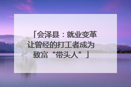 会泽县：就业变革让曾经的打工者成为致富“带头人”