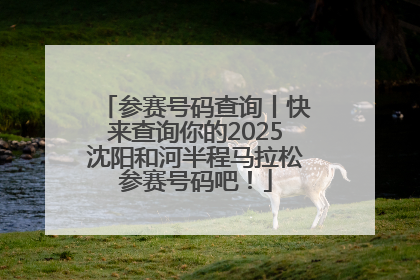 参赛号码查询丨快来查询你的2025沈阳和河半程马拉松参赛号码吧！
