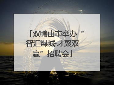 双鸭山市举办“智汇煤城·才聚双赢”招聘会