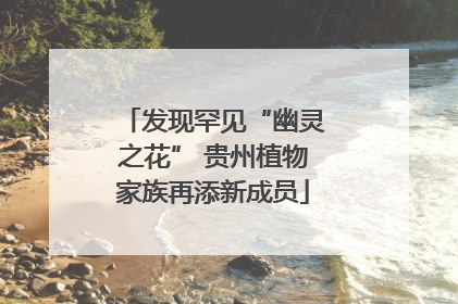 发现罕见“幽灵之花” 贵州植物家族再添新成员