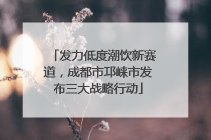发力低度潮饮新赛道，成都市邛崃市发布三大战略行动