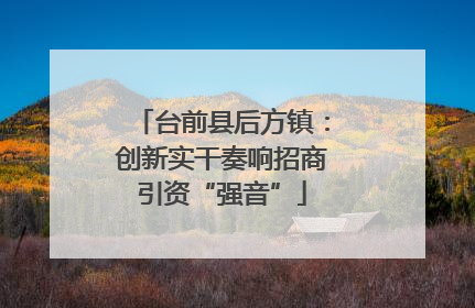 台前县后方镇：创新实干奏响招商引资“强音”