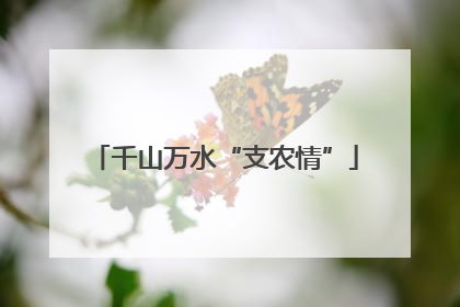 千山万水“支农情”