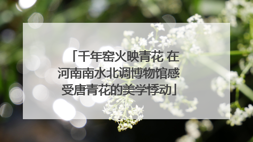 千年窑火映青花 在河南南水北调博物馆感受唐青花的美学悸动