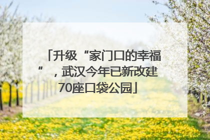 升级“家门口的幸福”，武汉今年已新改建70座口袋公园