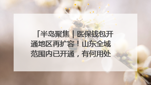 半岛聚焦｜医保钱包开通地区再扩容！山东全域范围内已开通，有何用处？如何操作？速戳→