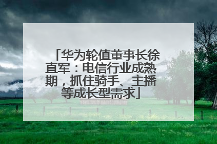 华为轮值董事长徐直军：电信行业成熟期，抓住骑手、主播等成长型需求