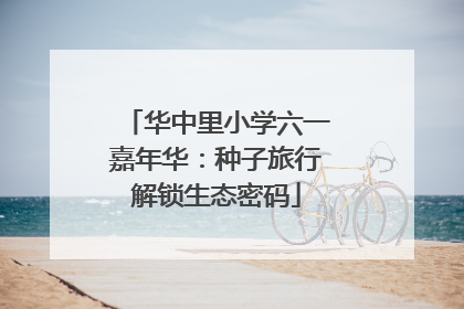 华中里小学六一嘉年华：种子旅行解锁生态密码