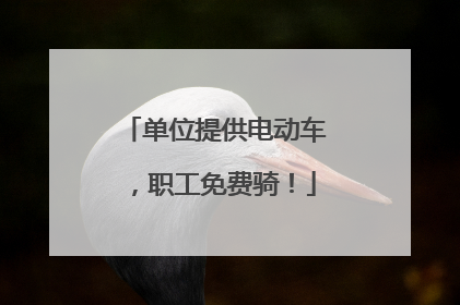 单位提供电动车，职工免费骑！