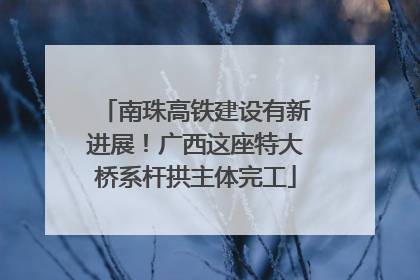南珠高铁建设有新进展！广西这座特大桥系杆拱主体完工