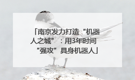 南京发力打造“机器人之城”：用3年时间“强攻”具身机器人