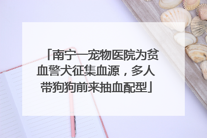 南宁一宠物医院为贫血警犬征集血源，多人带狗狗前来抽血配型