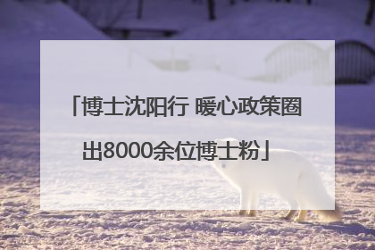 博士沈阳行 暖心政策圈出8000余位博士粉