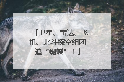 卫星、雷达、飞机、北斗探空组团追“蝴蝶”！