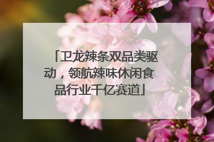 卫龙辣条双品类驱动，领航辣味休闲食品行业千亿赛道
