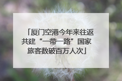 厦门空港今年来往返共建“一带一路”国家旅客数破百万人次