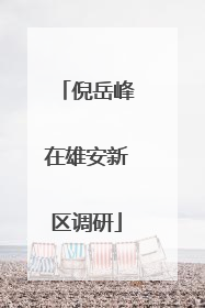 倪岳峰在雄安新区调研
