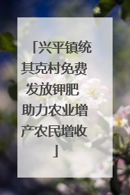 兴平镇统其克村免费发放钾肥 助力农业增产农民增收