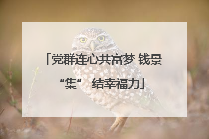 党群连心共富梦 钱景 “集” 结幸福力