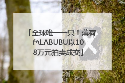 全球唯一一只！薄荷色LABUBU以108万元拍卖成交