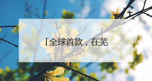 全球首款，在芜湖成功首飞！