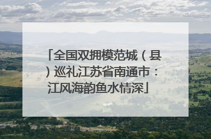 全国双拥模范城（县）巡礼江苏省南通市：江风海韵鱼水情深