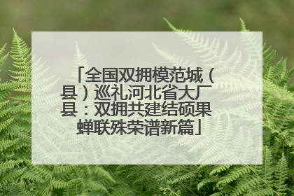全国双拥模范城（县）巡礼河北省大厂县：双拥共建结硕果 蝉联殊荣谱新篇