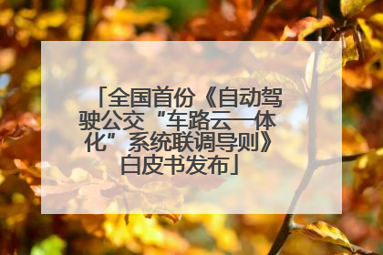 全国首份《自动驾驶公交“车路云一体化”系统联调导则》白皮书发布