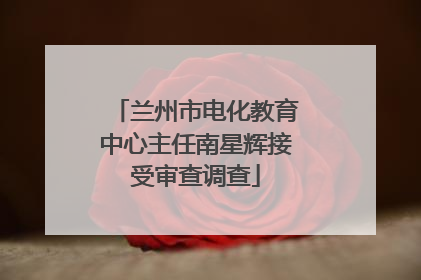 兰州市电化教育中心主任南星辉接受审查调查