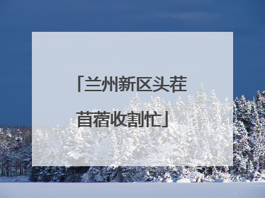 兰州新区头茬苜蓿收割忙