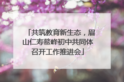 共筑教育新生态，眉山仁寿鳌峰初中共同体召开工作推进会