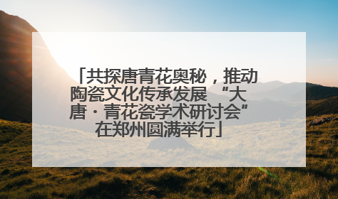 共探唐青花奥秘，推动陶瓷文化传承发展 “大唐・青花瓷学术研讨会”在郑州圆满举行