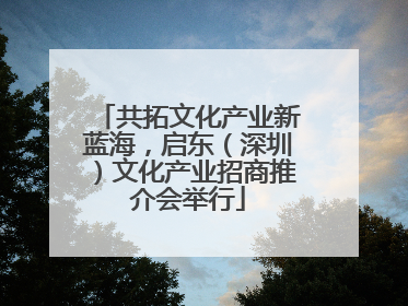 共拓文化产业新蓝海，启东（深圳）文化产业招商推介会举行
