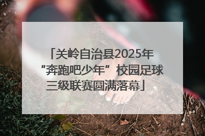 关岭自治县2025年“奔跑吧少年”校园足球三级联赛圆满落幕