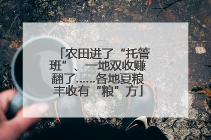 农田进了“托管班”、一地双收赚翻了……各地夏粮丰收有“粮”方