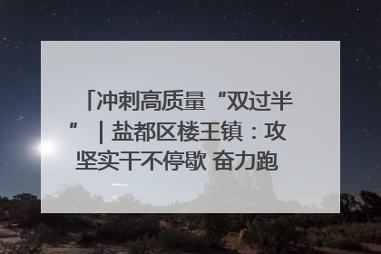 冲刺高质量“双过半”｜盐都区楼王镇：攻坚实干不停歇 奋力跑赢“上半场”