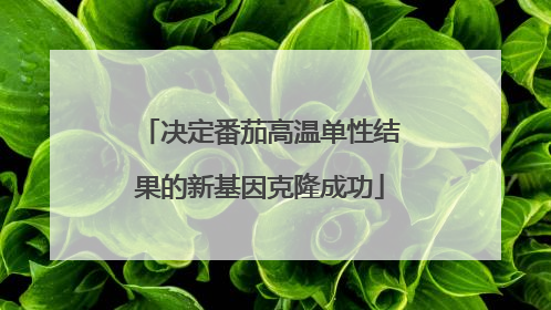 决定番茄高温单性结果的新基因克隆成功