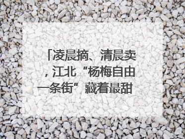 凌晨摘、清晨卖，江北“杨梅自由一条街”藏着最甜的烟火气